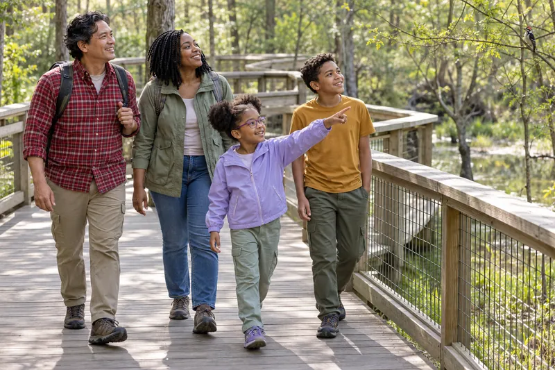 Two children and two adults watch a bird from an accessible woodland boardwalk.